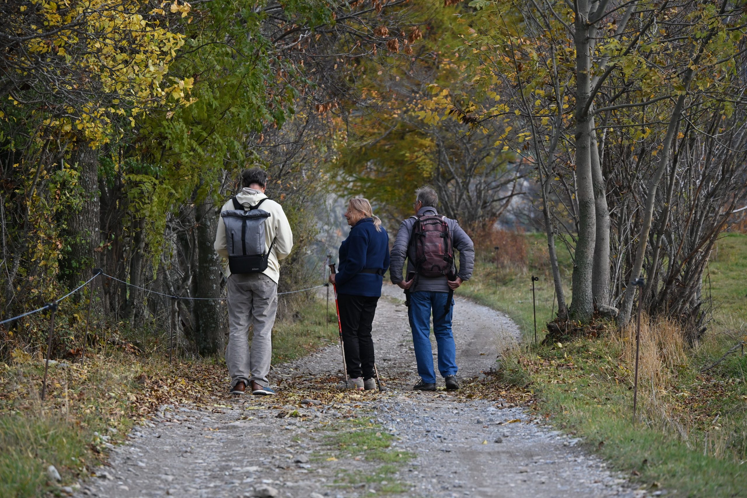 Three adults walking an autumn trail together in British Columbia